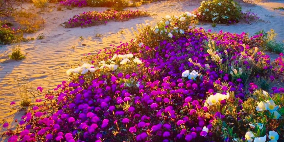 Через кладбище.