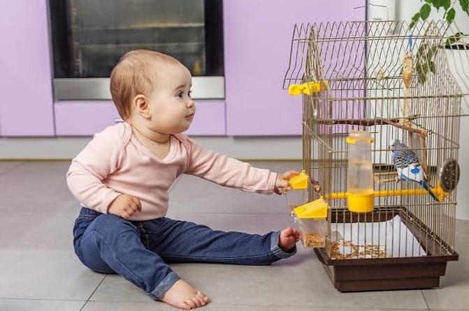 Давай дружить!