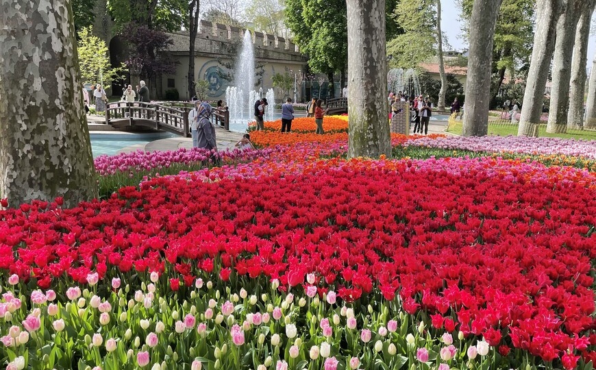 Стоит ли ехать в Турцию в апреле. Фестиваль тюльпанов в Стамбуле — яркие фото от туриста