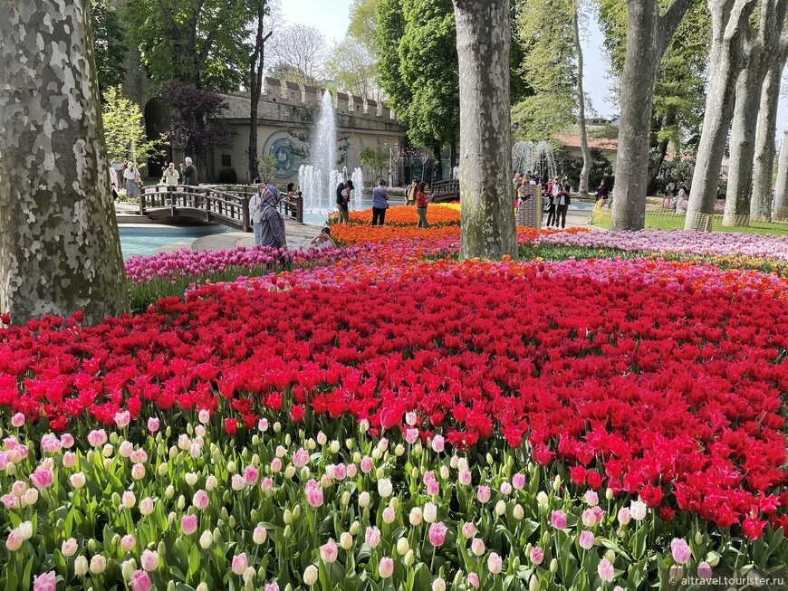 © Андрей, altravel.tourister.ru