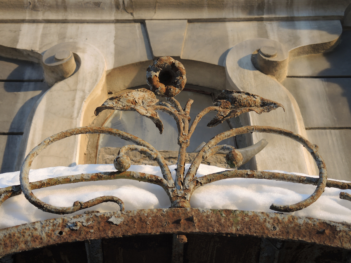 Фото 2014 года