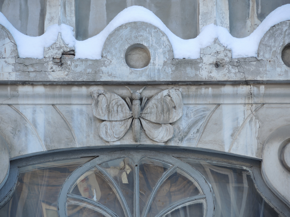 Фото 2014 года