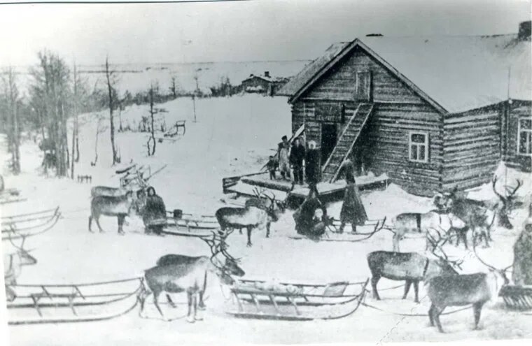 Оленеводы на фактории, 1929 год, фото Владимира Евладова
Фото: Музей им. Шемановского, сайт