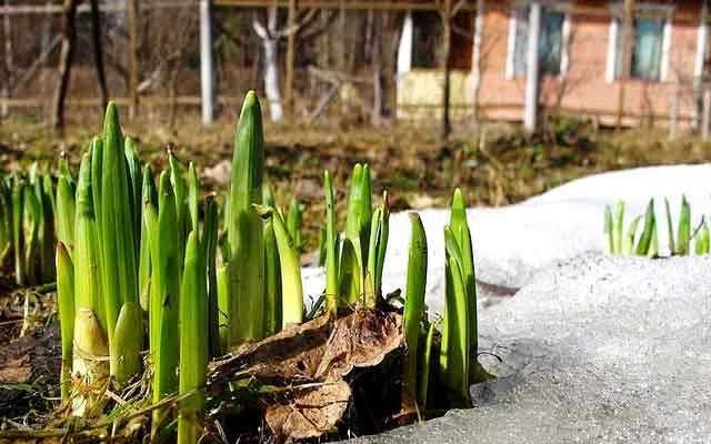 Источник изображения: https://novate.ru/