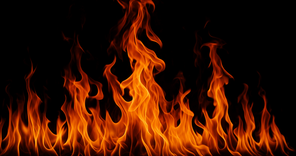 Более 100 телят умерли при пожаре на ферме в Новосибирской области