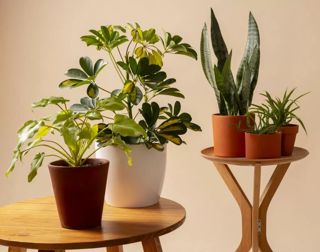 Источник фото: sakhaday.ru