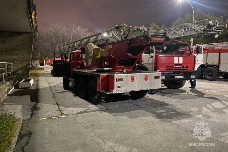    Фото ГУ МЧС по Новосибирской области
