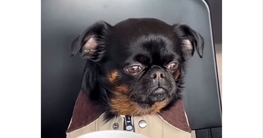 Не успела оглянуться, опять понедельник