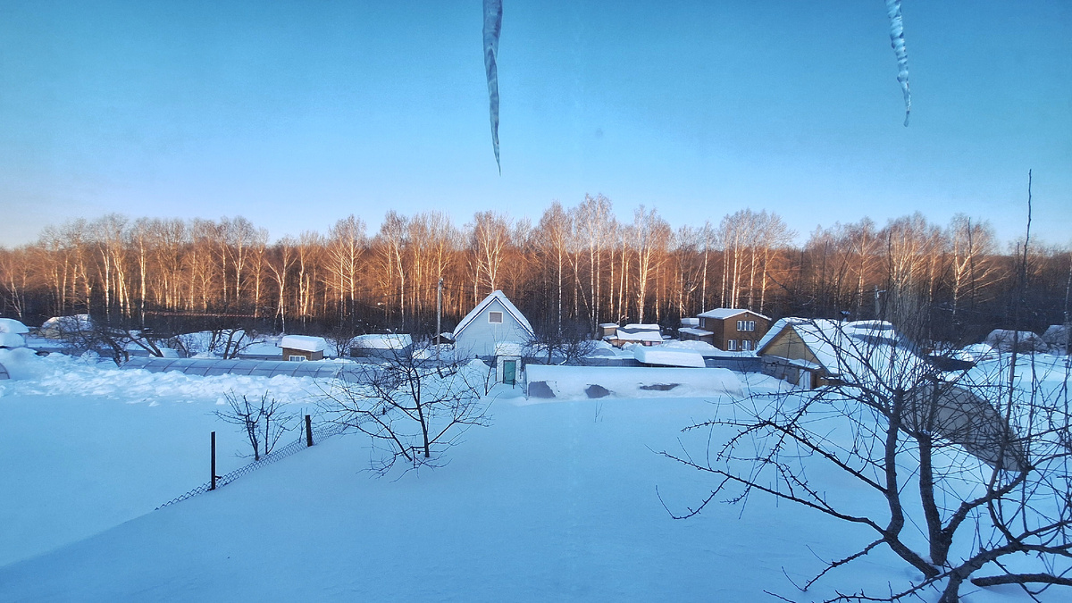 Фото автора. 