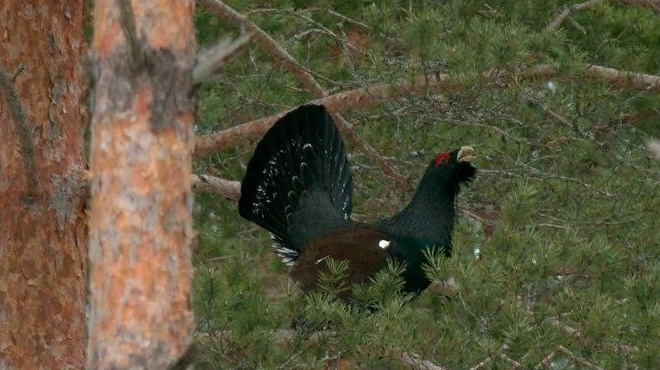Фото: Павел Глазков
