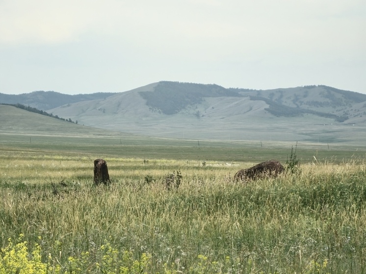     В Хакасии уточнят сведения об археологических памятниках за 1,2 млн рублей. Фото: архив МК в Хакасии