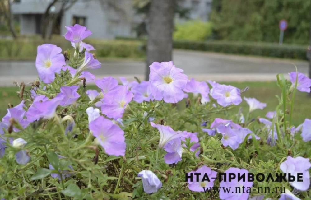    Народные приметы: 16 марта