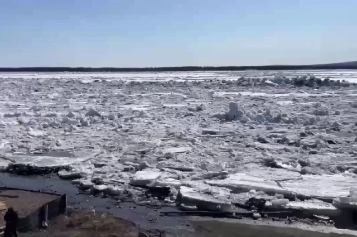    Метеорологи назвали дату начала ледохода в Новосибирской области