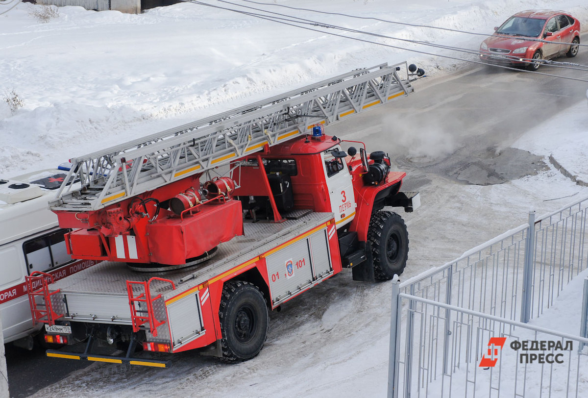 Пожар произошел на ферме в Тогучинском районе Новосибирской области.  Фото: ФедералПресс / Елена Майорова