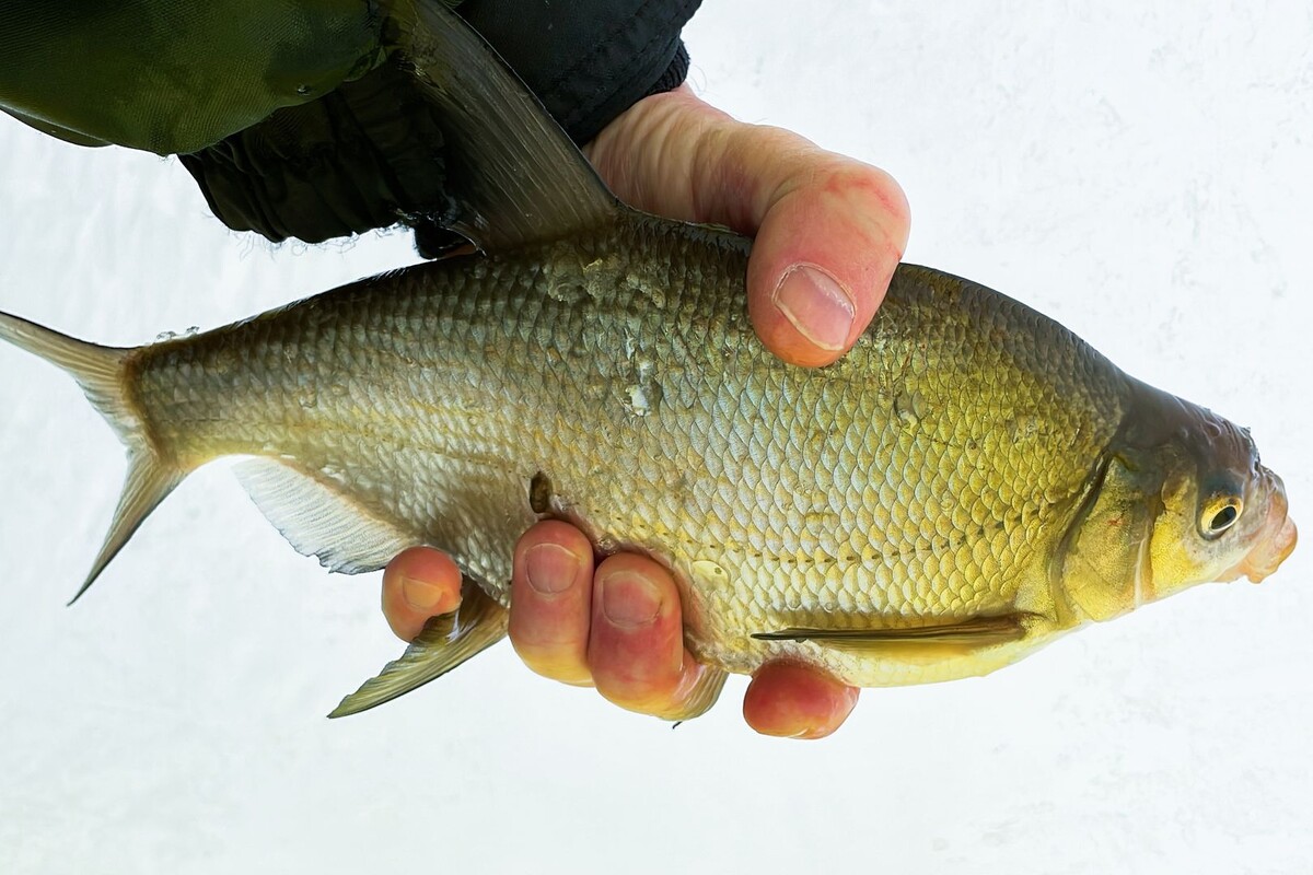     / Источник: © Global Look Press