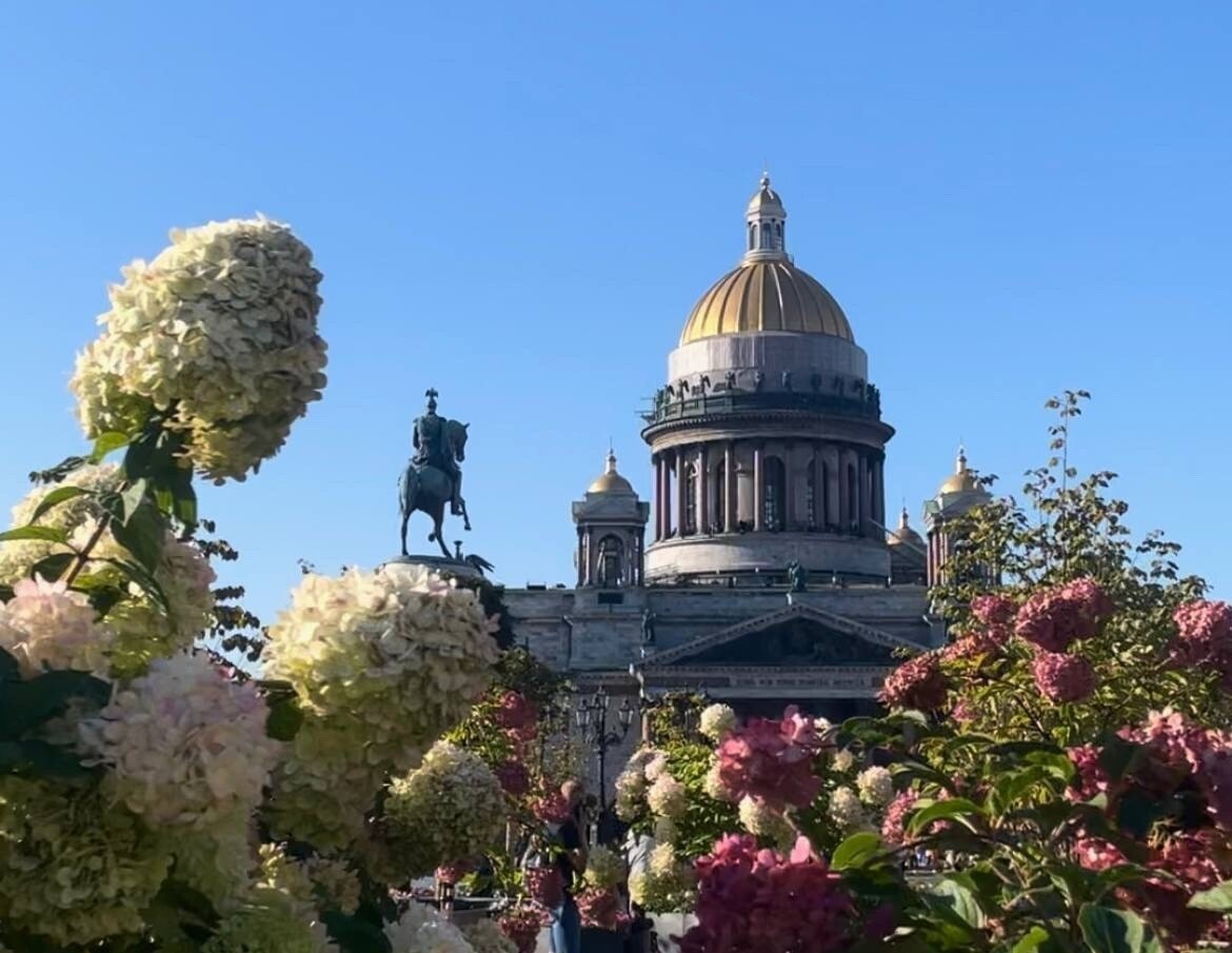     Фото: Бриф 24