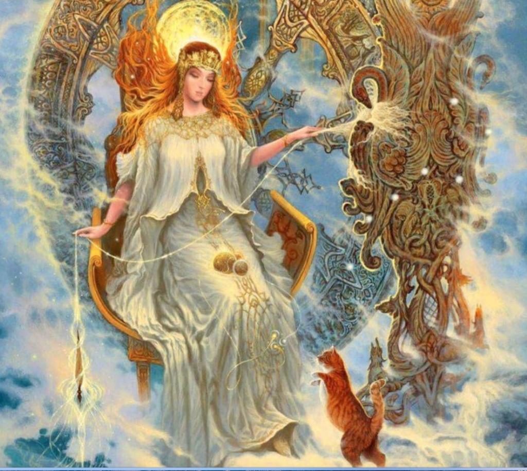 Фото из открытых источников интернета