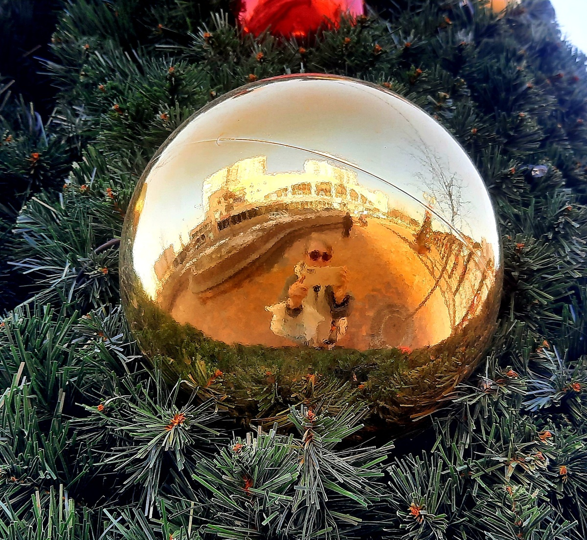 Фото автора. Не могла удержаться)