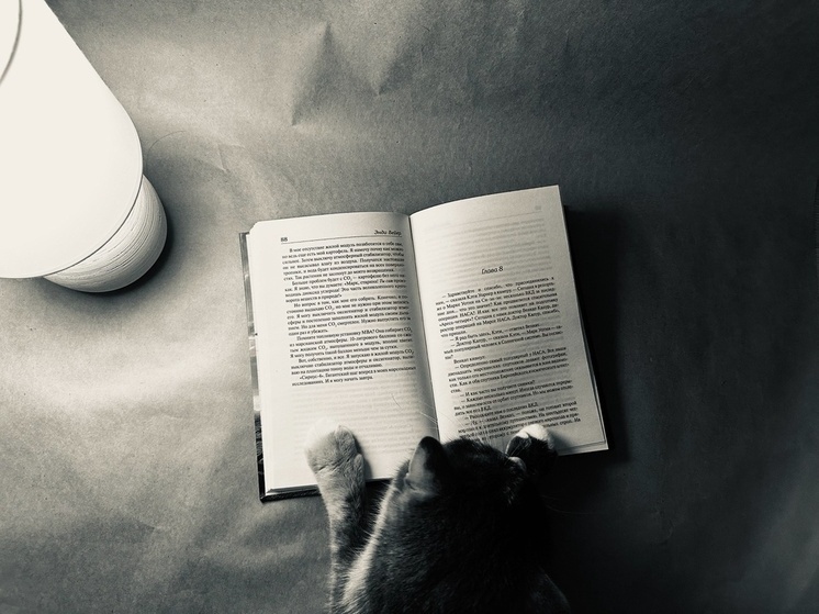     Фото: "МК в Калуге"