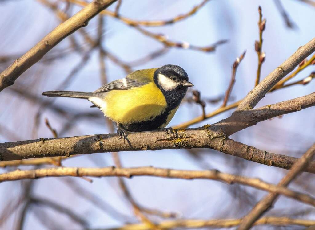    Фото Алексея Сивакова