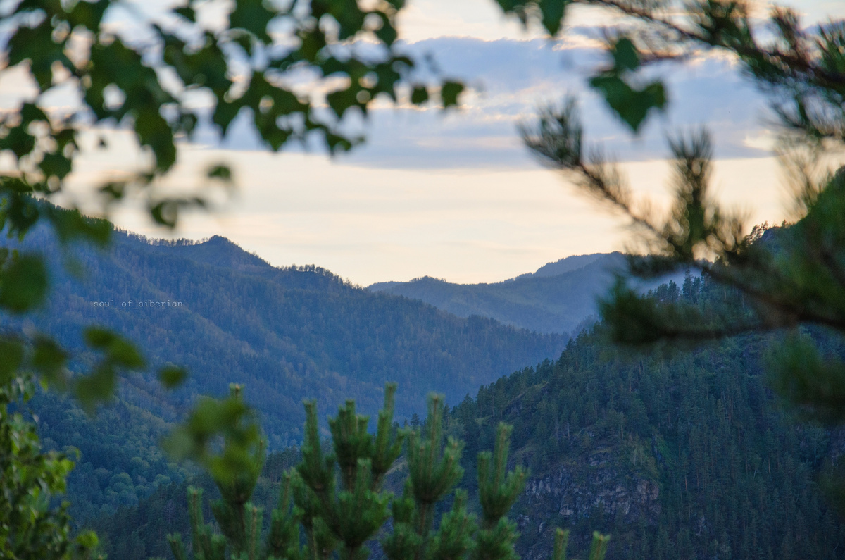 Чемальский район, республика Алтай