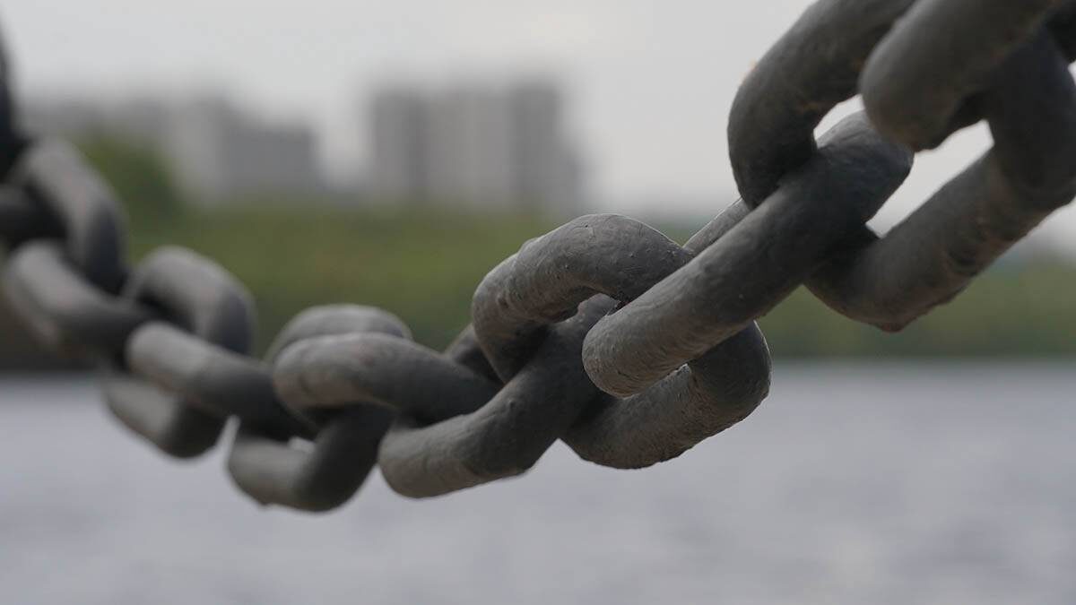    Фото: Анатолий Цымбалюк / Вечерняя Москва