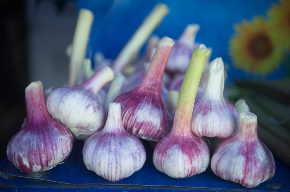    . Алексей БУЛАТОВ