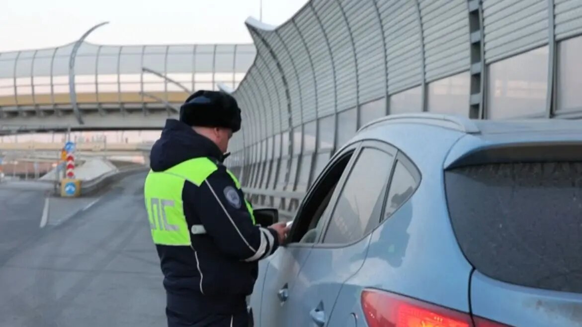    Фото: кадр видео ГУ МВД по Петербургу и Ленобласти
