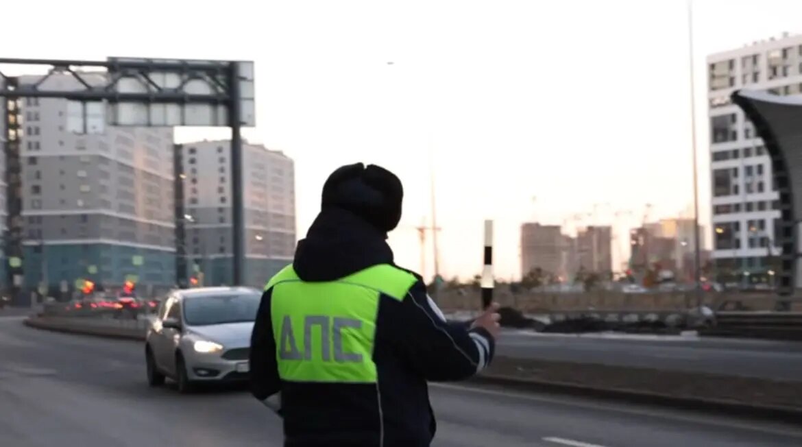    Фото: кадр видео ГУ МВД по Петербургу и Ленобласти