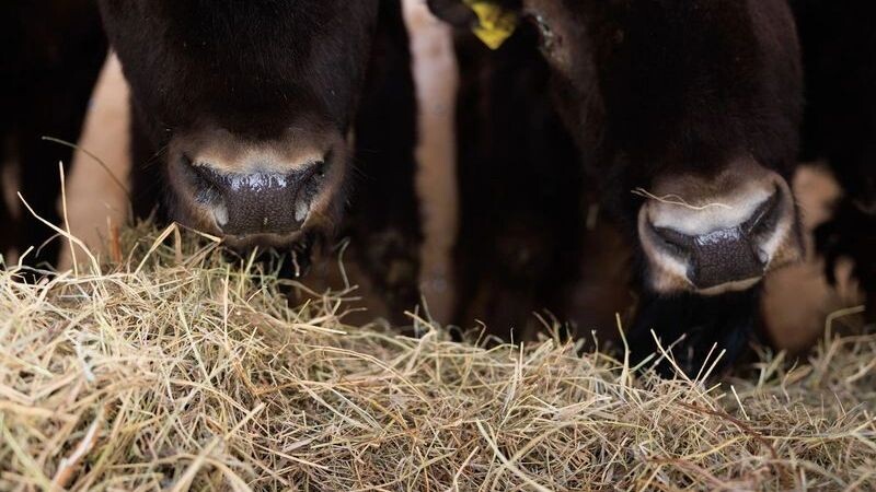    Фото: Юлия Чудинова/«Ямал-Медиа»