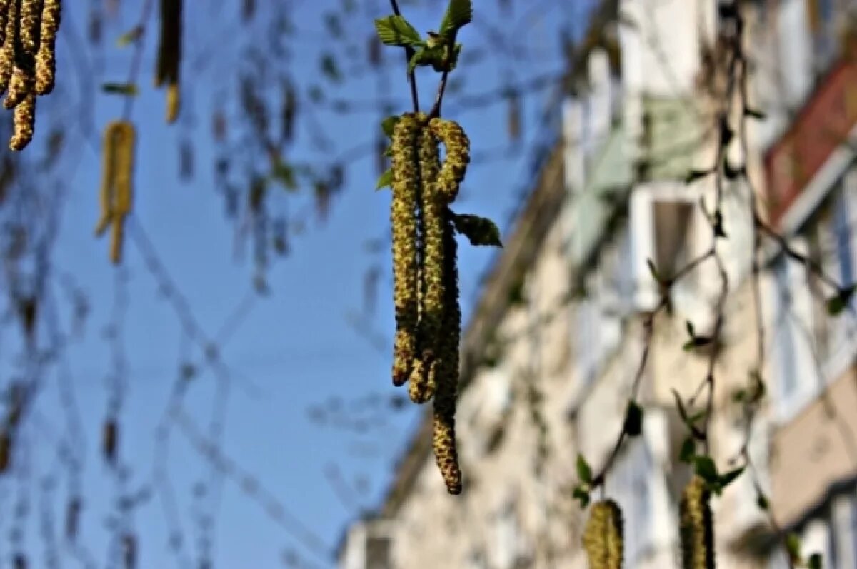    В Ижевске 15 марта был побит температурный рекорд