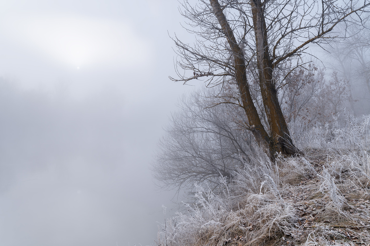 фото интернет