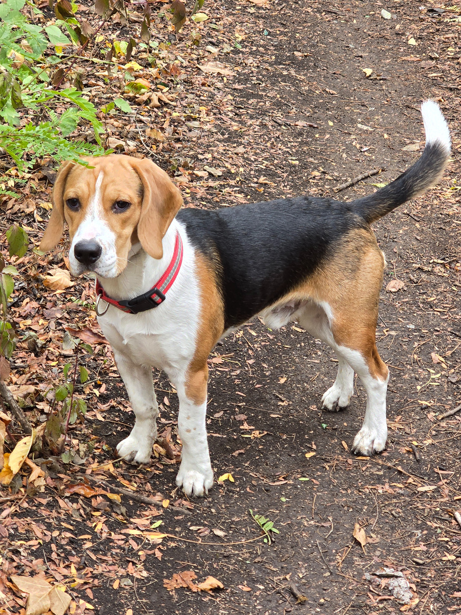 Красавчик, что тут скажешь