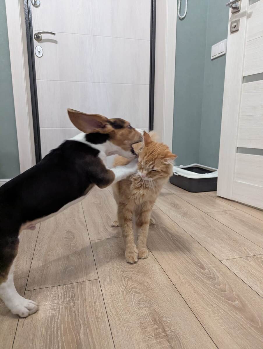 Игры круглые сутки