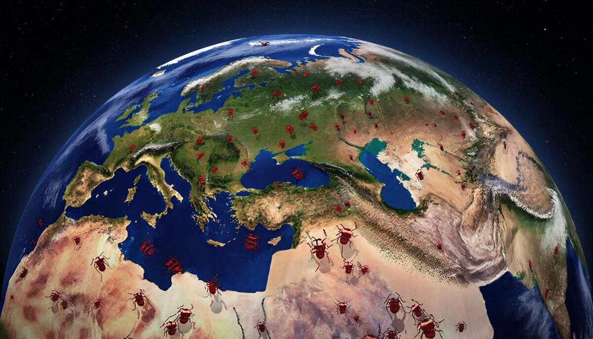 В 2026 году сезон клещей будет особенно опасным 