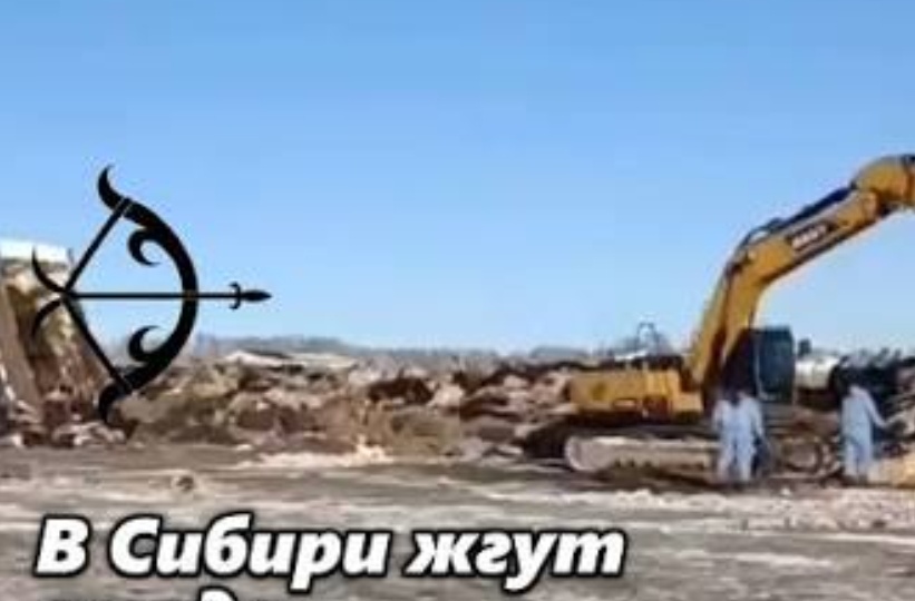 Уничтожение скота в России: эпидемия или расправа над фермерами?