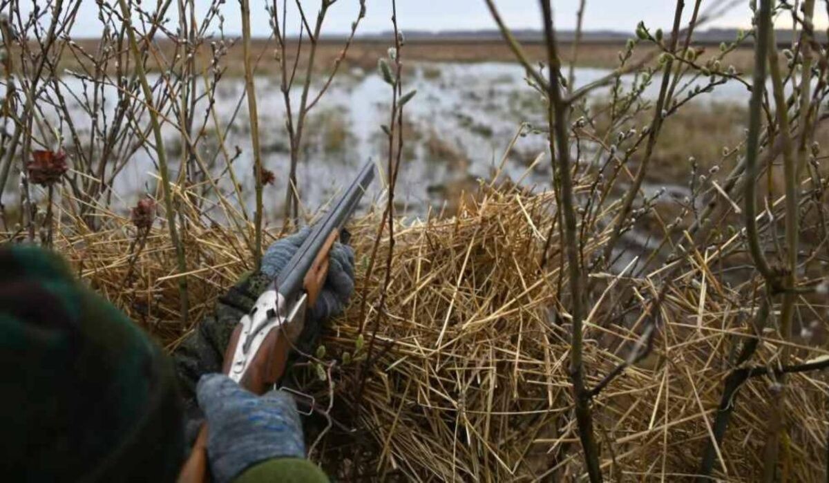     Охота. Источник: ria.ru Автор фото: Алексей Мальгавко