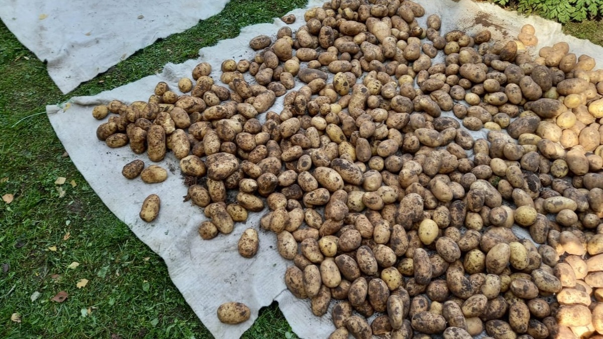 Вот такой результат получаю теперь — после того, как исправил три простые вещи