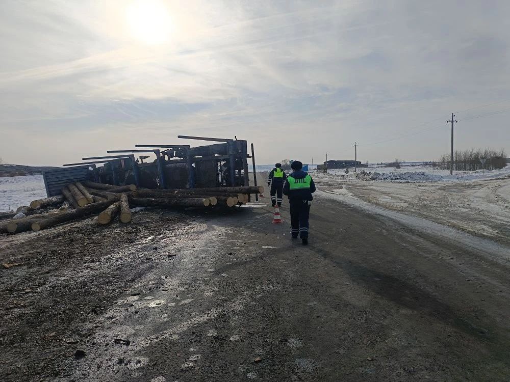     Фото: УГИБДД по Свердловской области