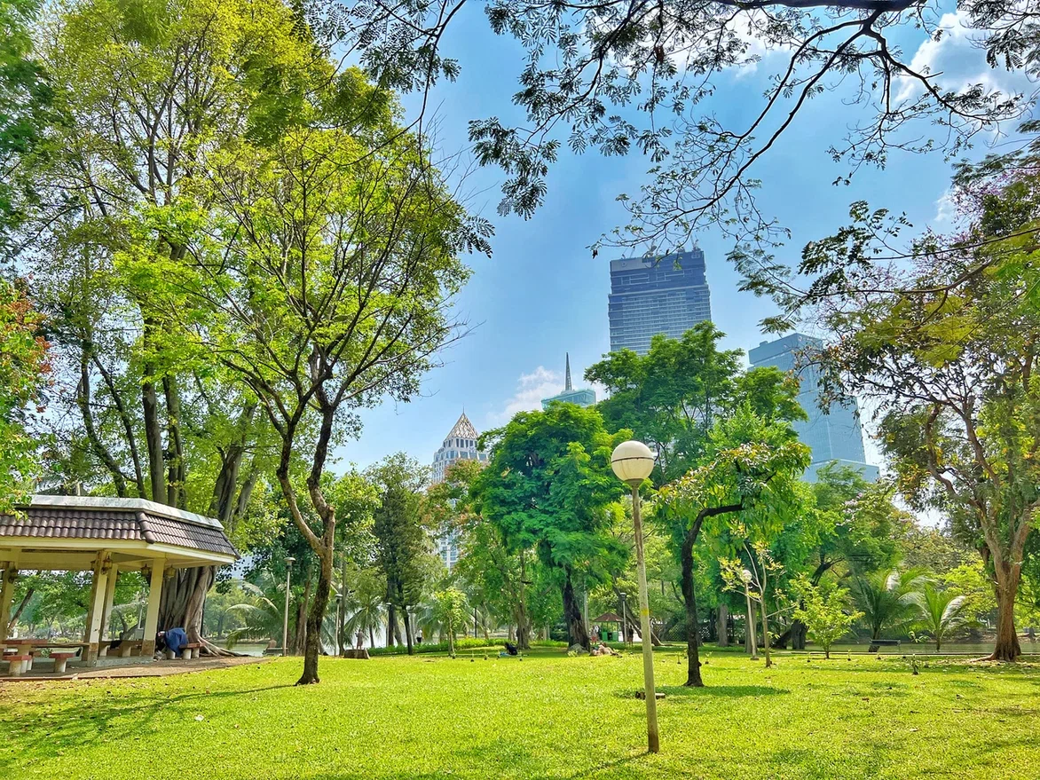 Парк Люмпини. Бангкок. Фото автора