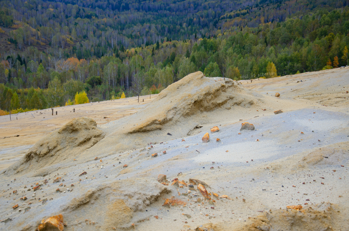 Талмовские пески, Салаир