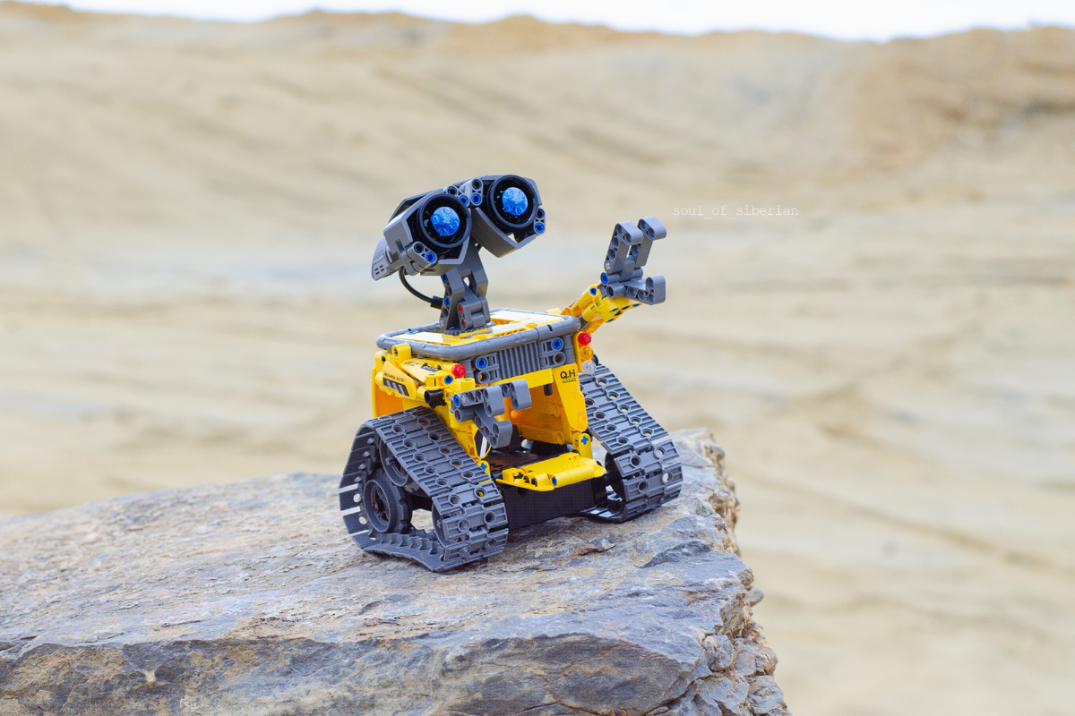 Талмовские пески, Салаир