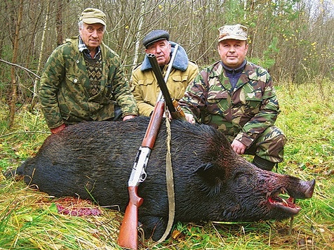 видя такие фото я не знаю как относится к этим людям...