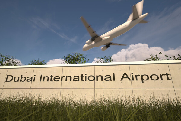 Novikov Aleksey/Shutterstock/FOTODOM   📷