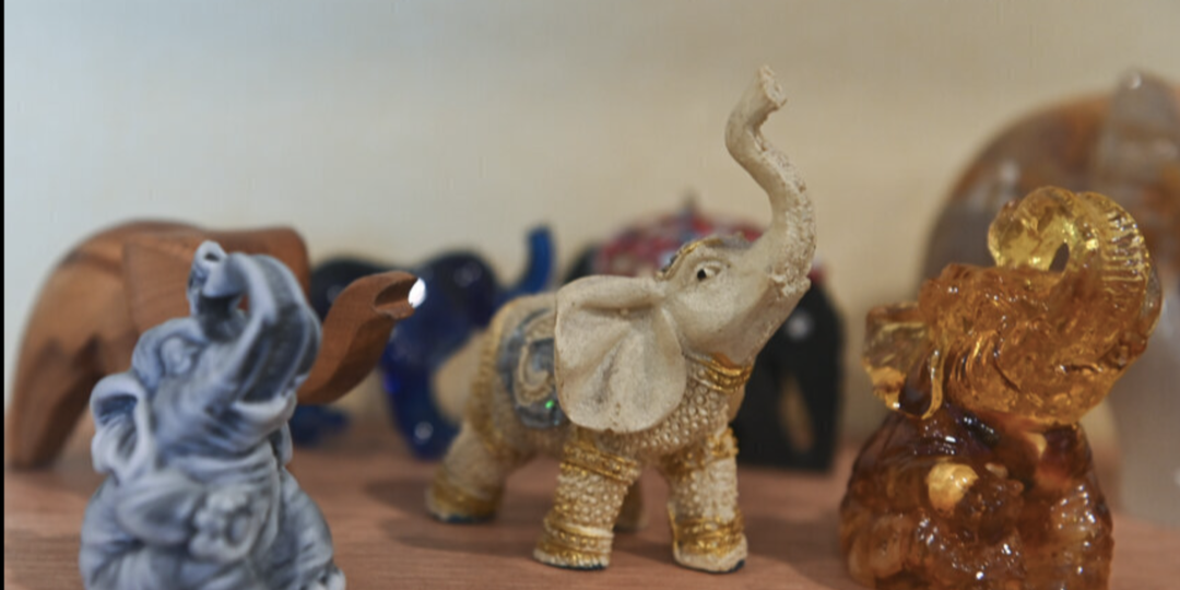 Хобот вверх: петербурженка приютила дома 50 слонов