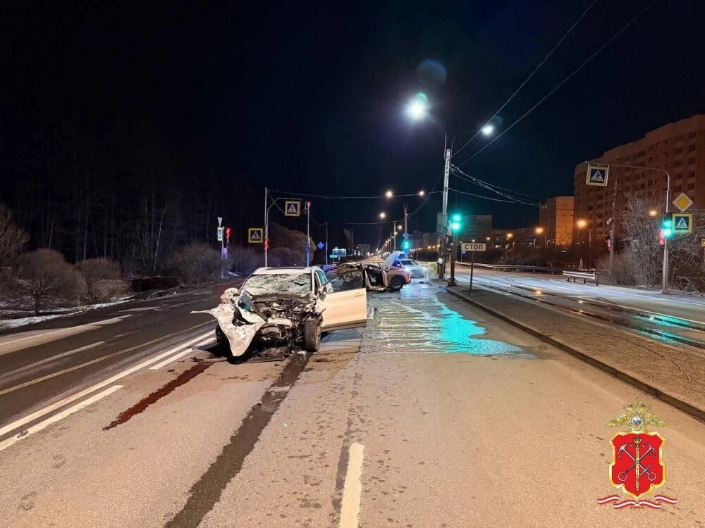    Фото: телеграм-канал Петербургская полиция/ телеграм-канал Петербургская полиция