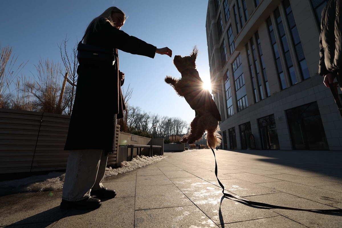  © Павел Орловский, Times.by