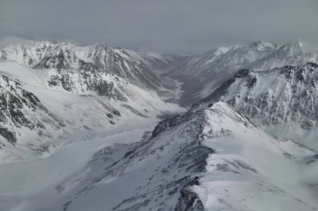    Фото: Алтайский биосферный заповедник/ Юрий Калинкин