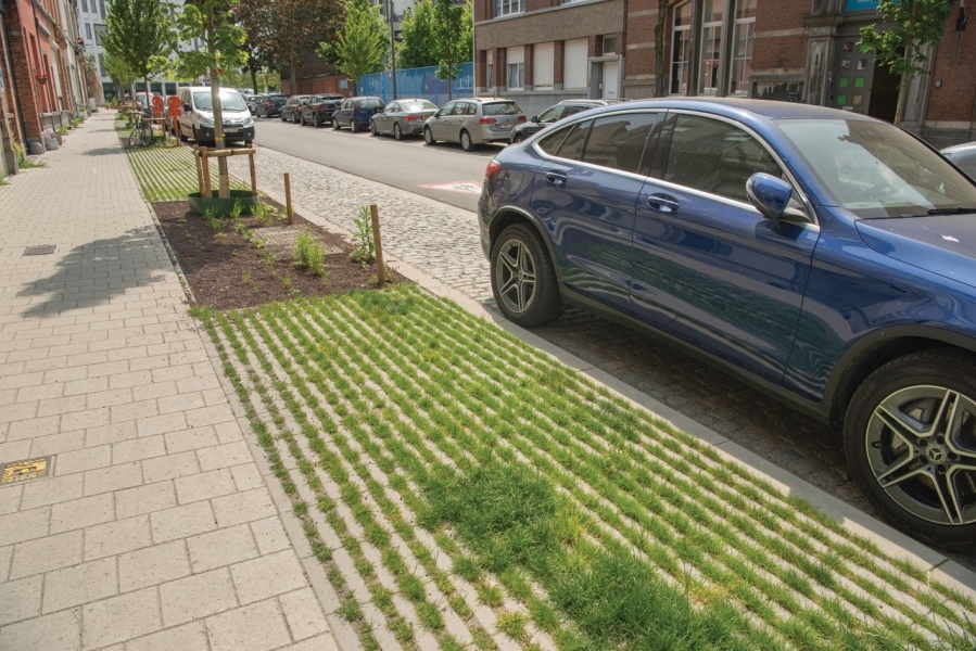 Водно-зелёная инфраструктура в городской среде: интеграция мощения, зелёных насаждений и управления дождевой водой  📷
