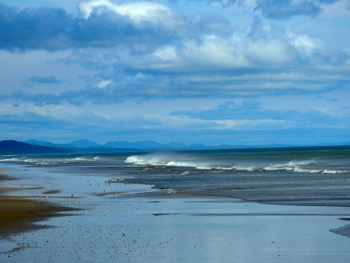 Волны и кулики, убегающие от них, но успевающие найти себе еду